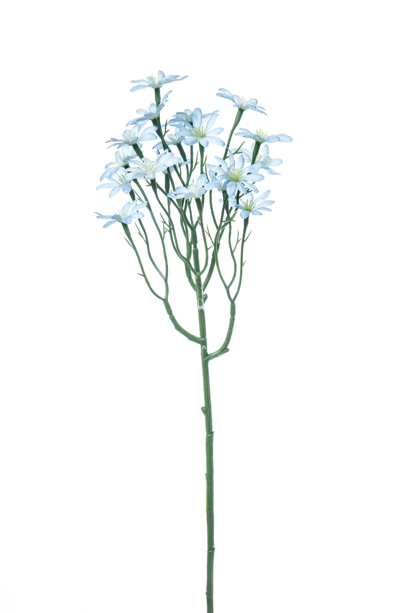 BLU
