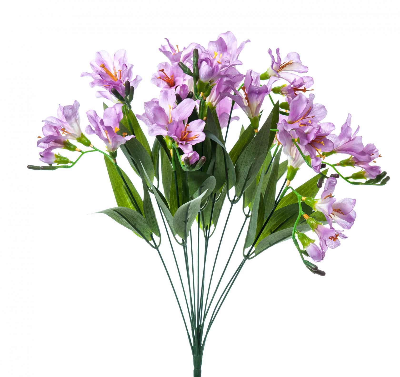 LAVANDER