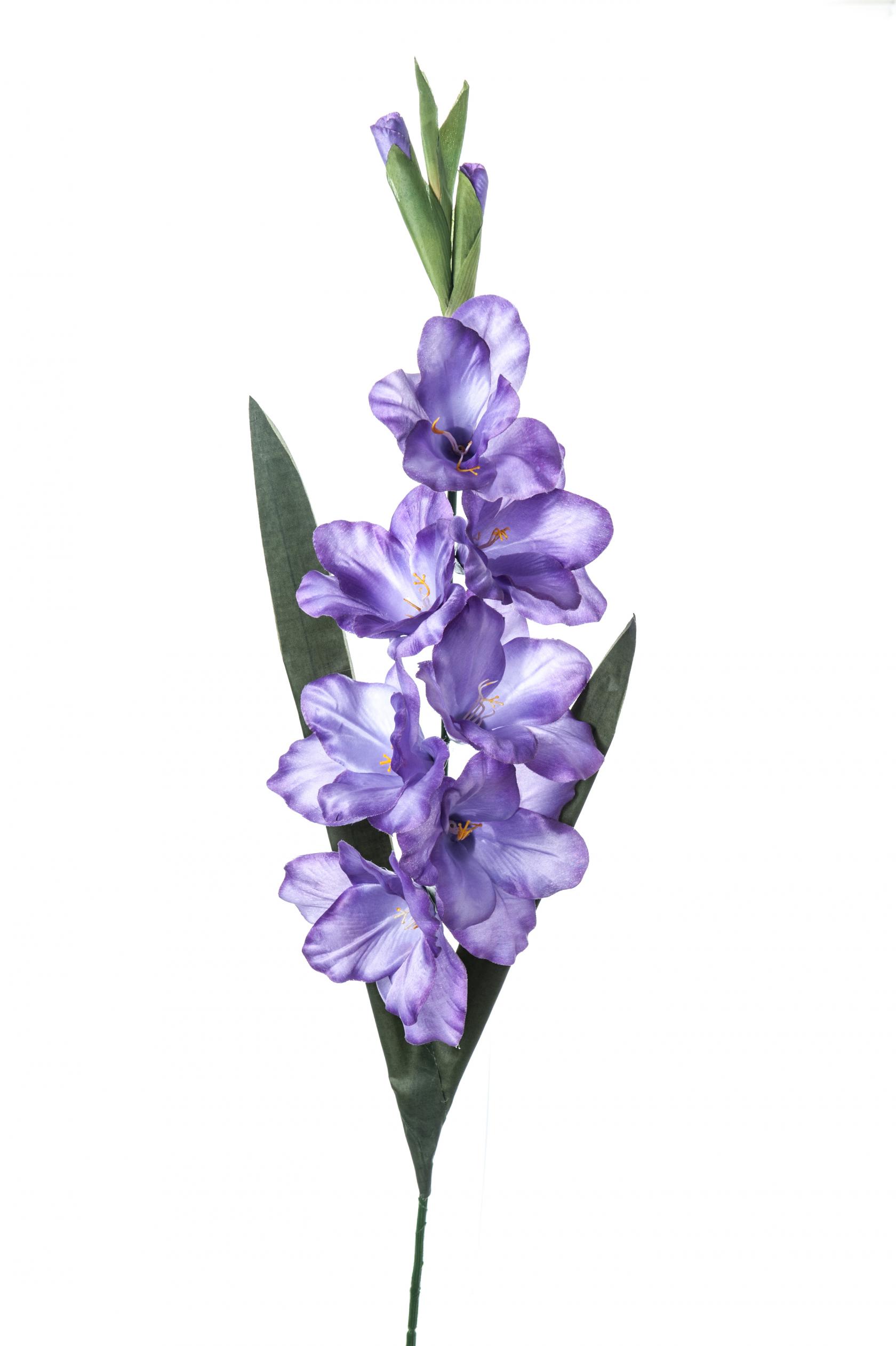 LAVANDER