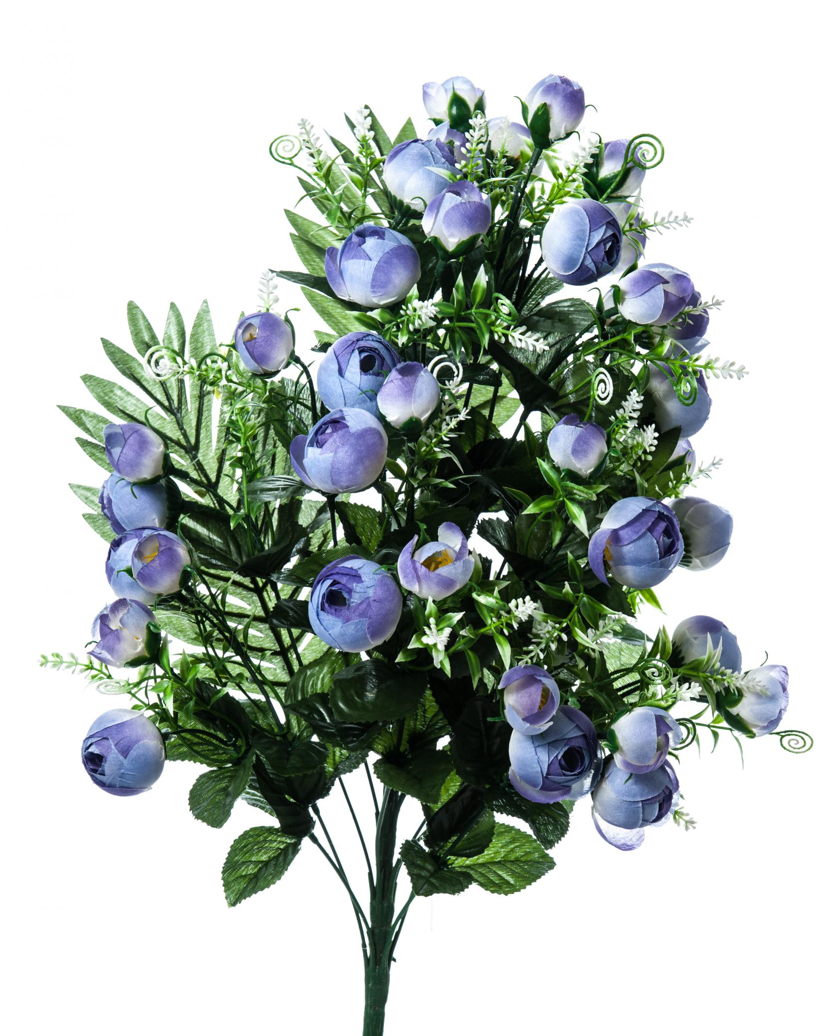 LAVANDER