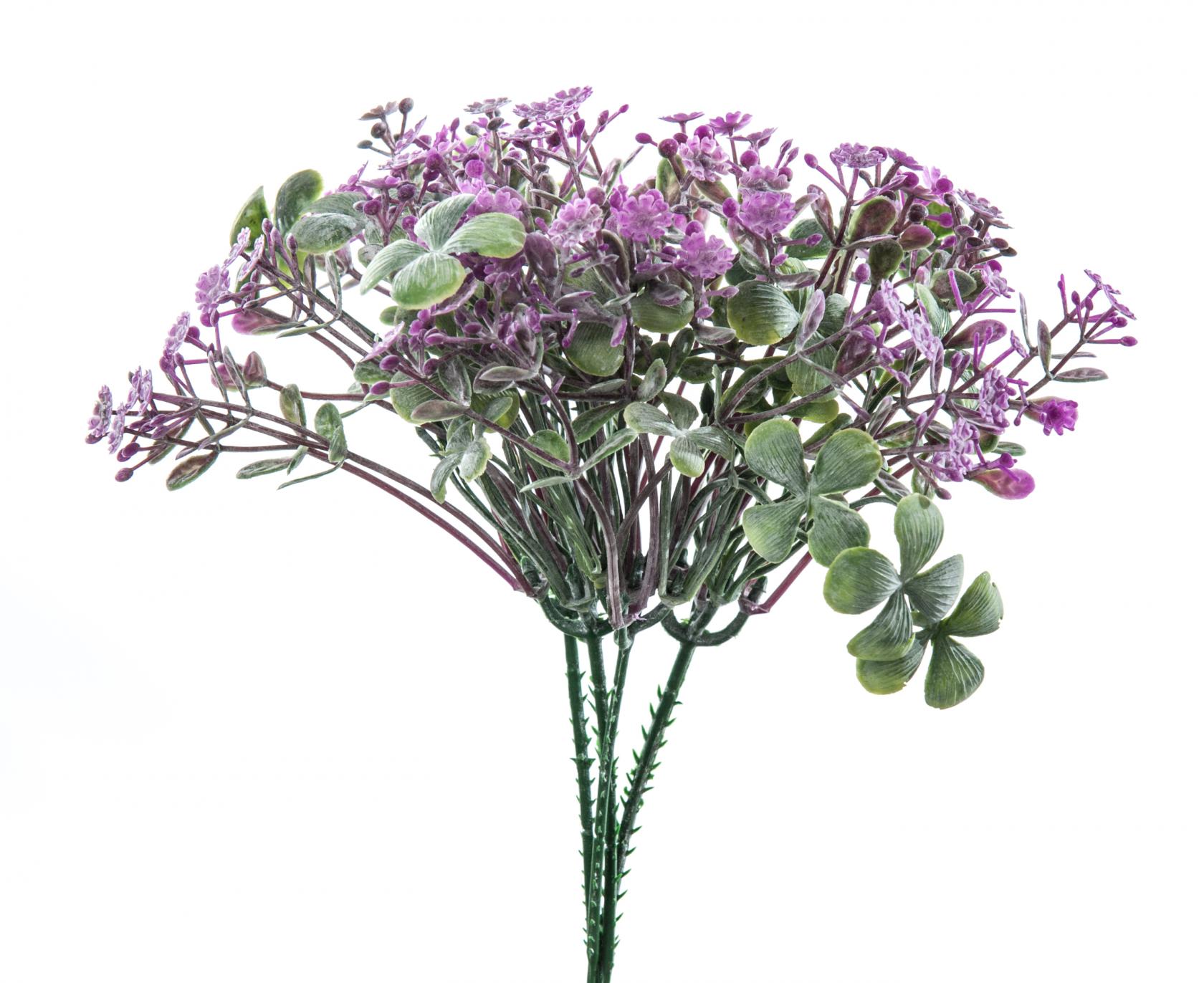 LAVANDER