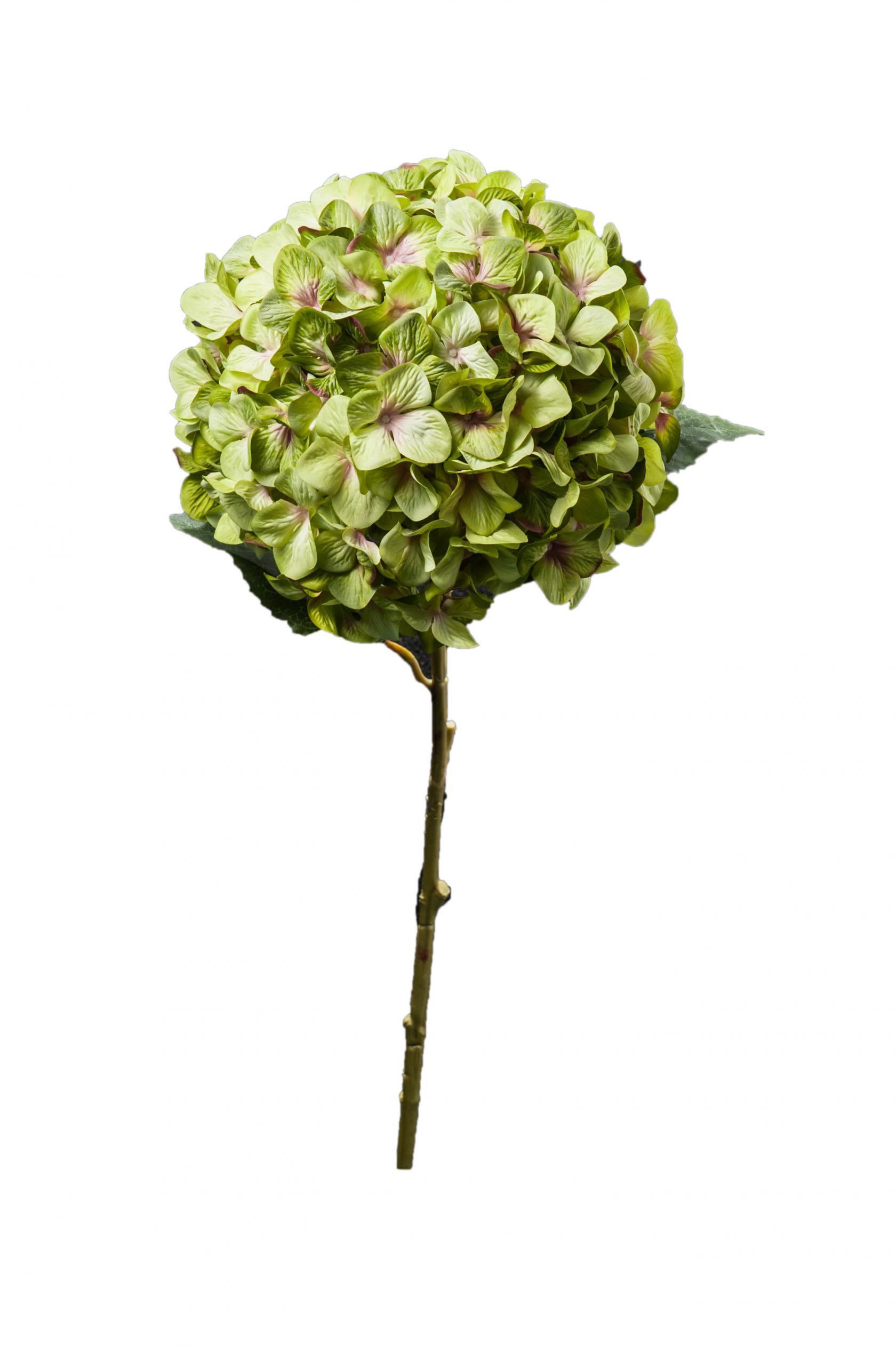 BREEN