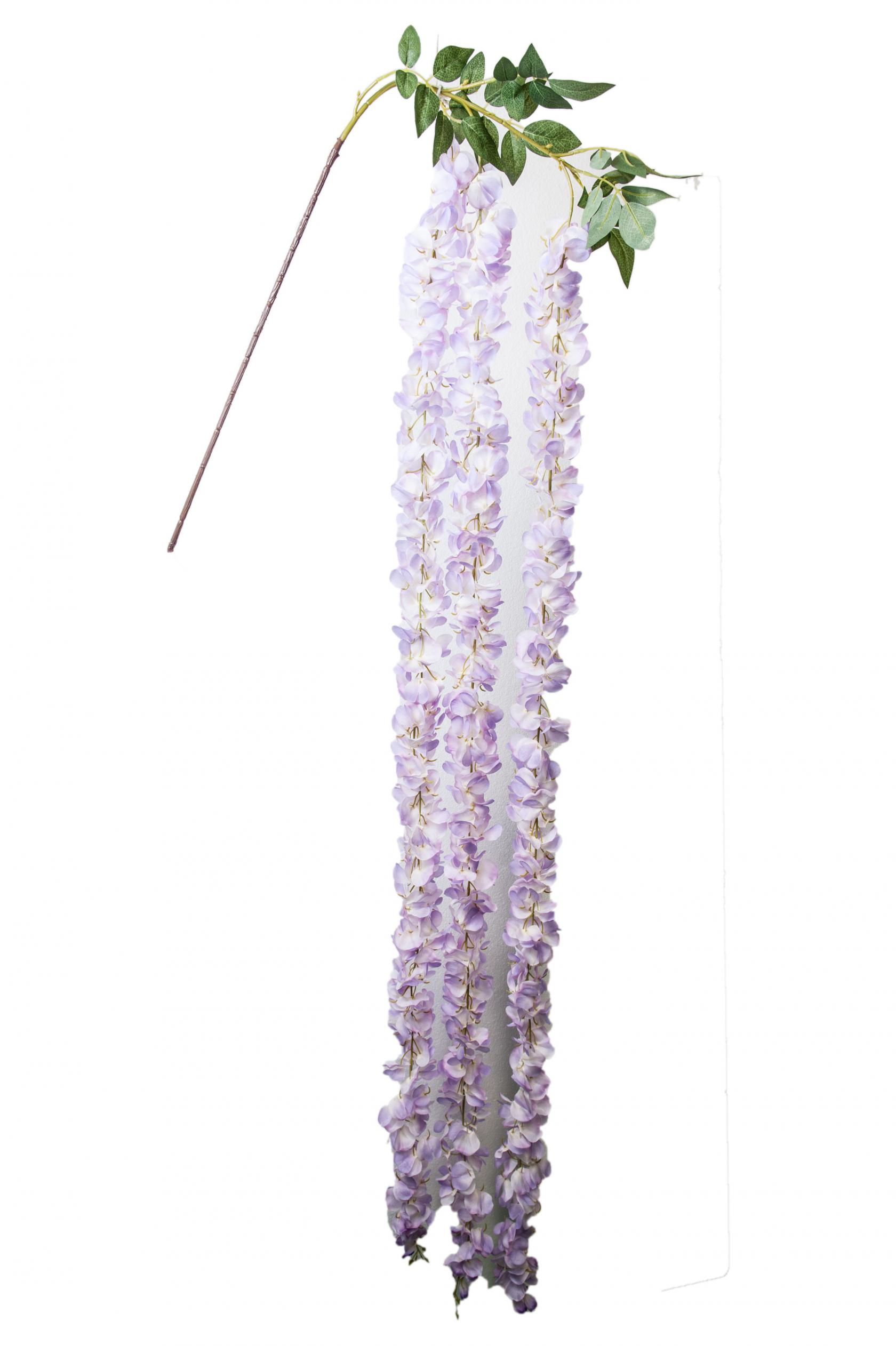 LAVANDER