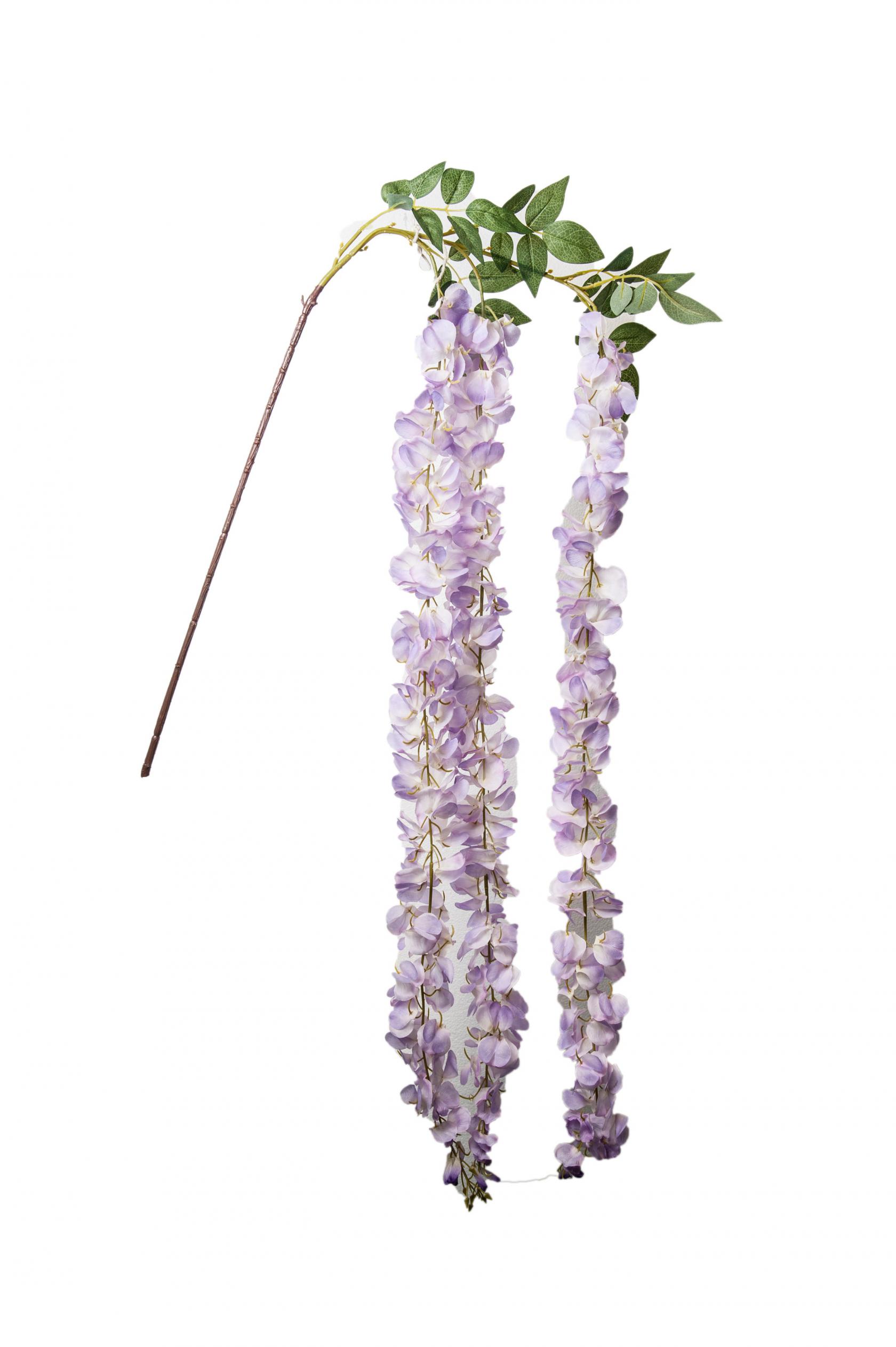 LAVANDER
