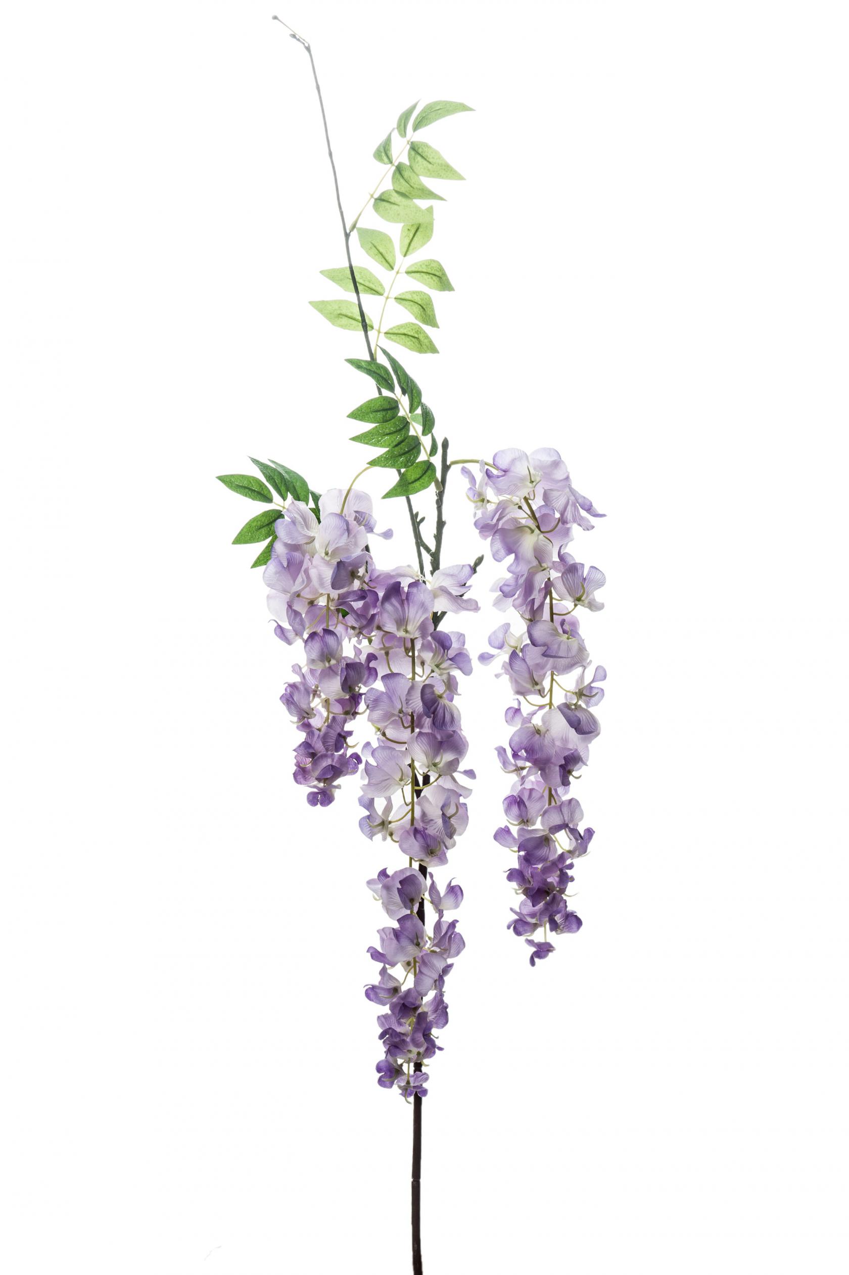 LAVANDER