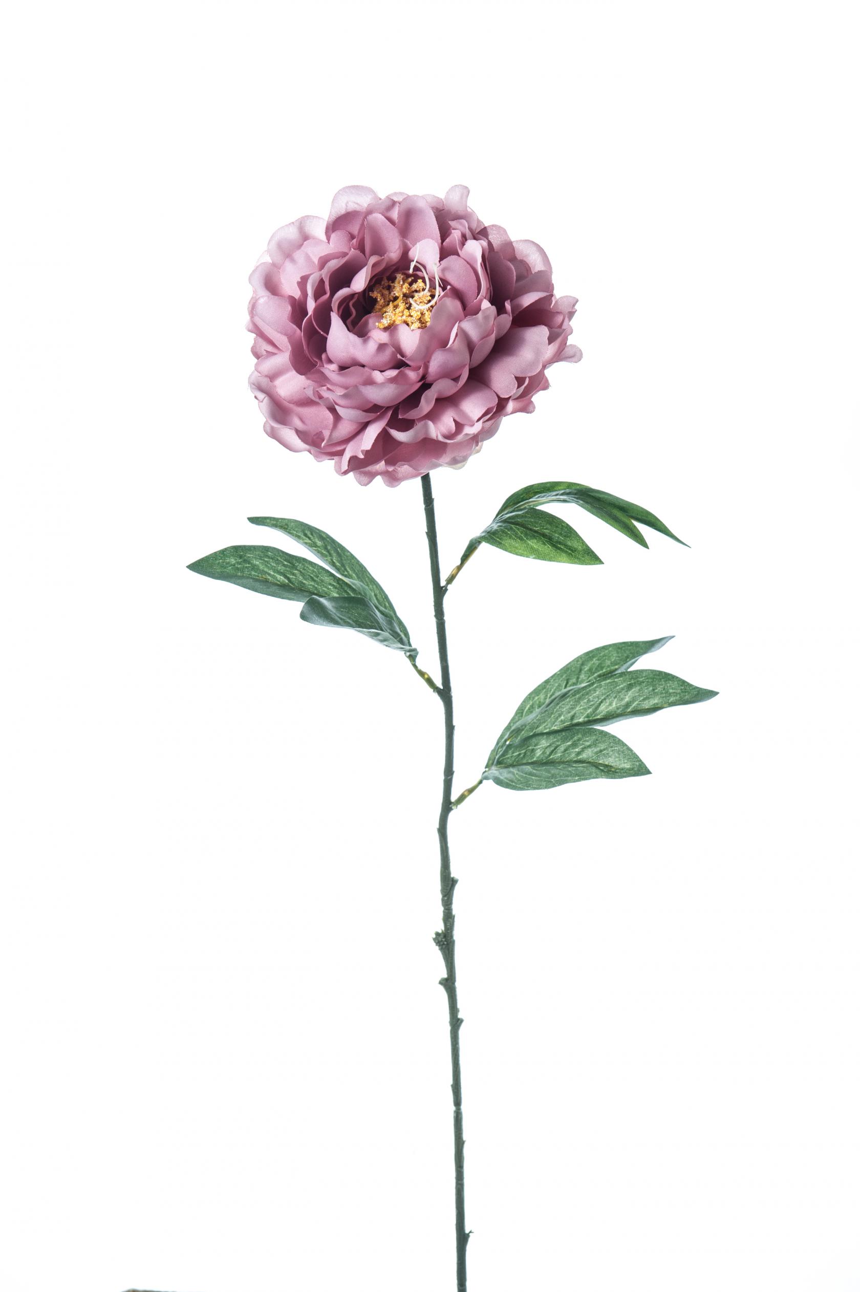 MAGENTA