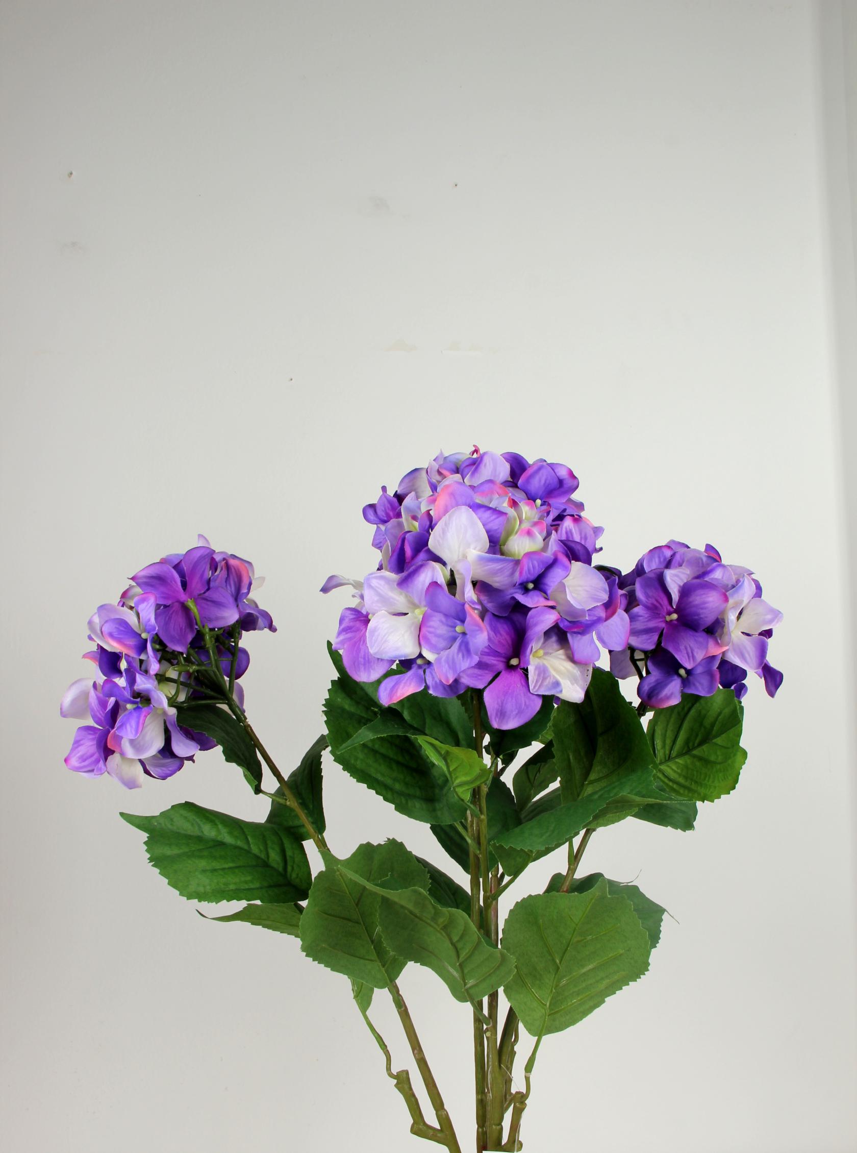 LAVANDER