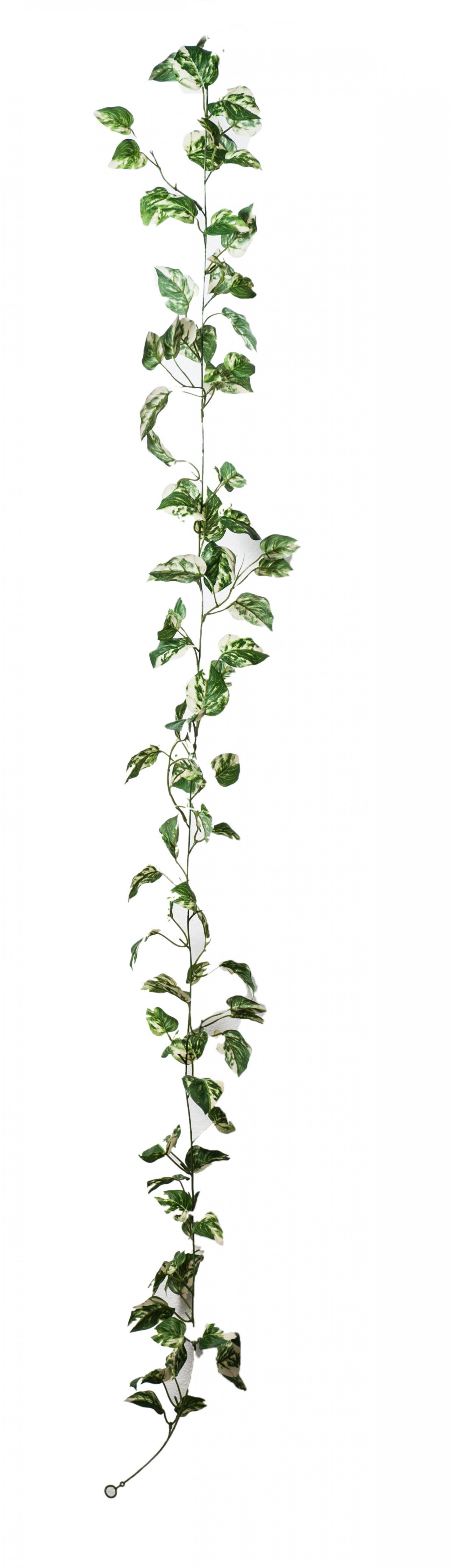 A17977