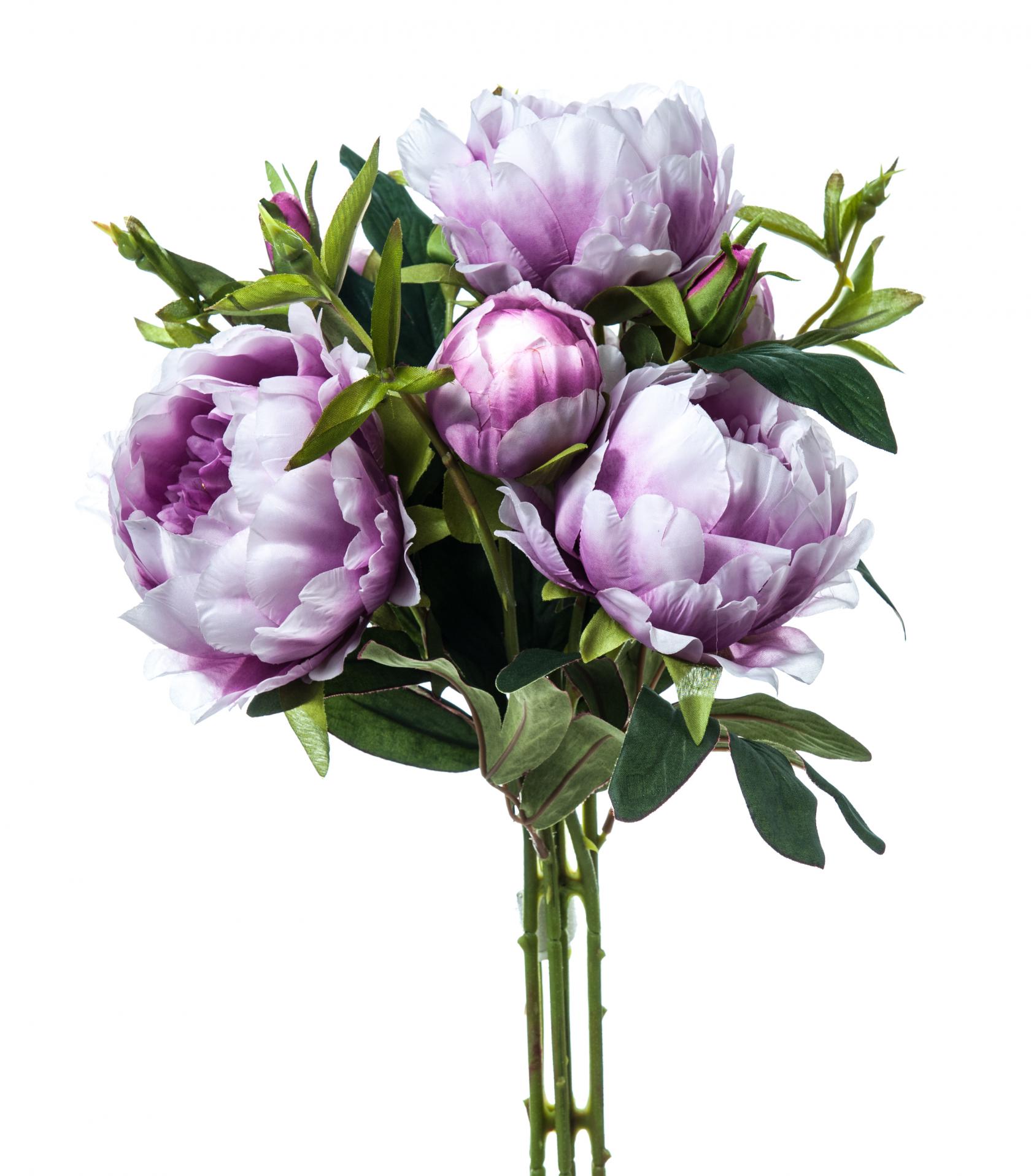 LAVANDER