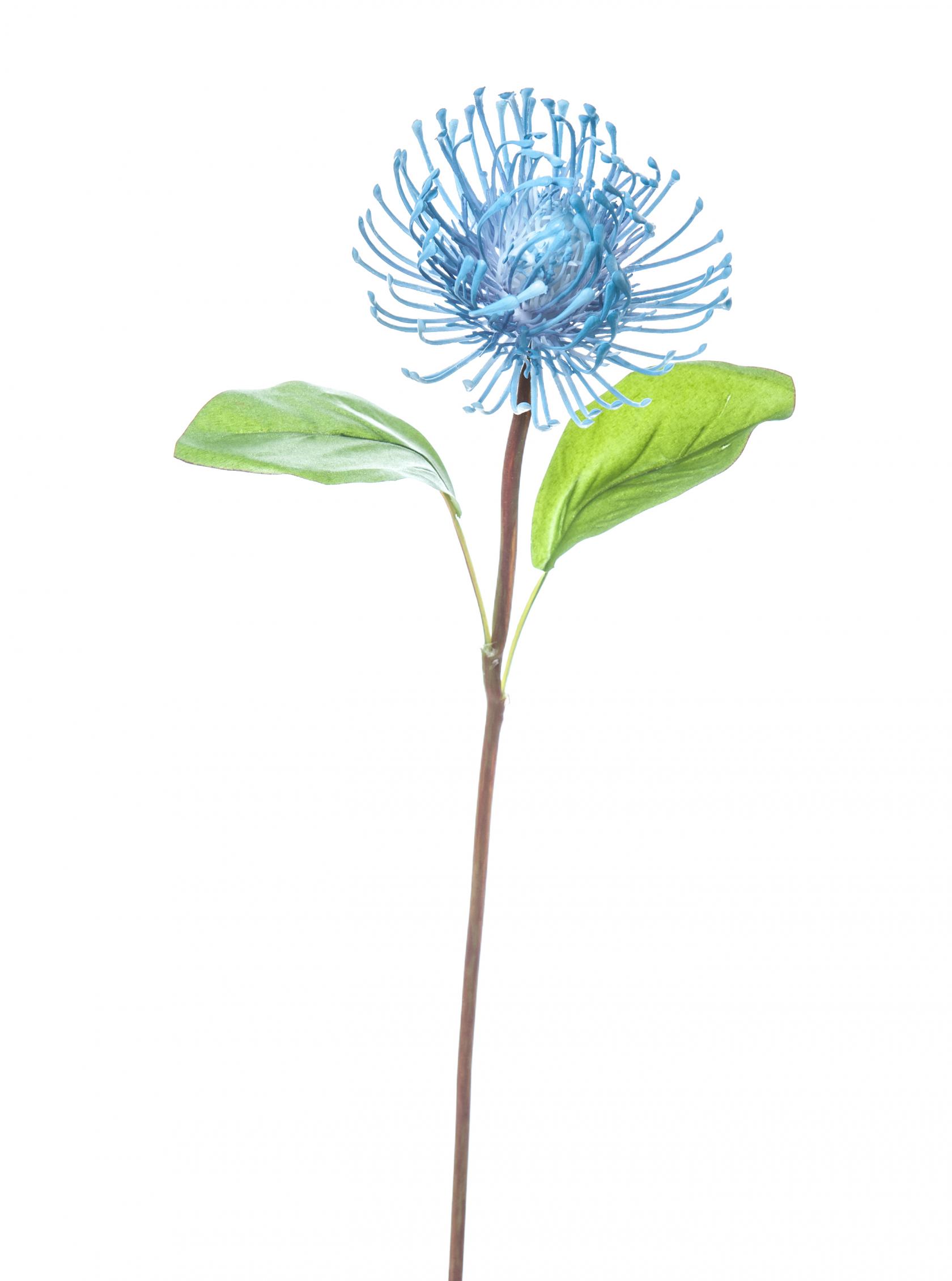 BLU
